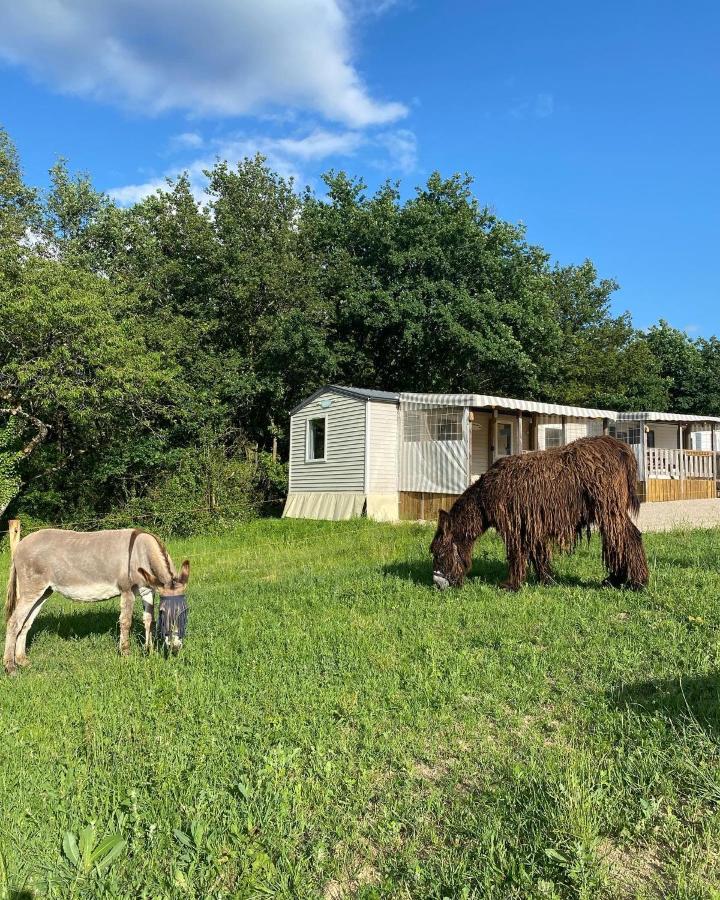 Camping De La Ferme Aux Anesses, Mobil Home Sofia2 Bressuire Ngoại thất bức ảnh